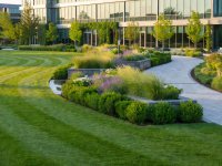 Real photograph of landscaped commercial property grounds